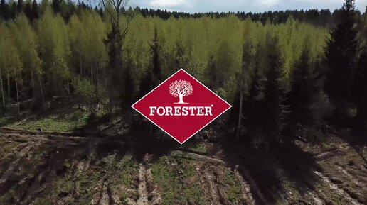 Forester посадка леса в Кубинском лесничестве