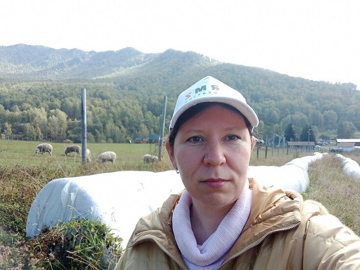 Как регионы Сибири осваивают современные приемы кормопроизводства📷
