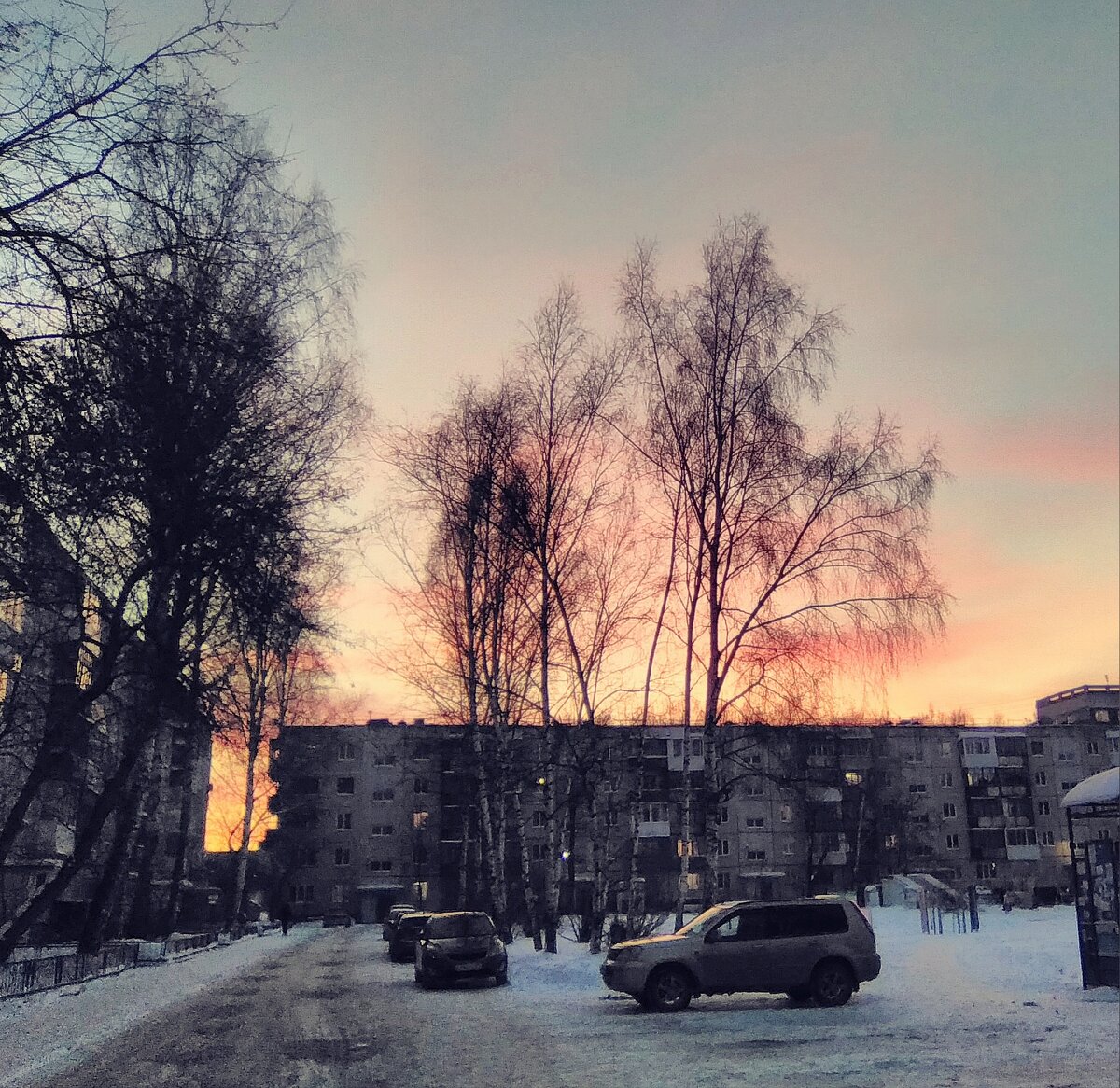 фото автора 