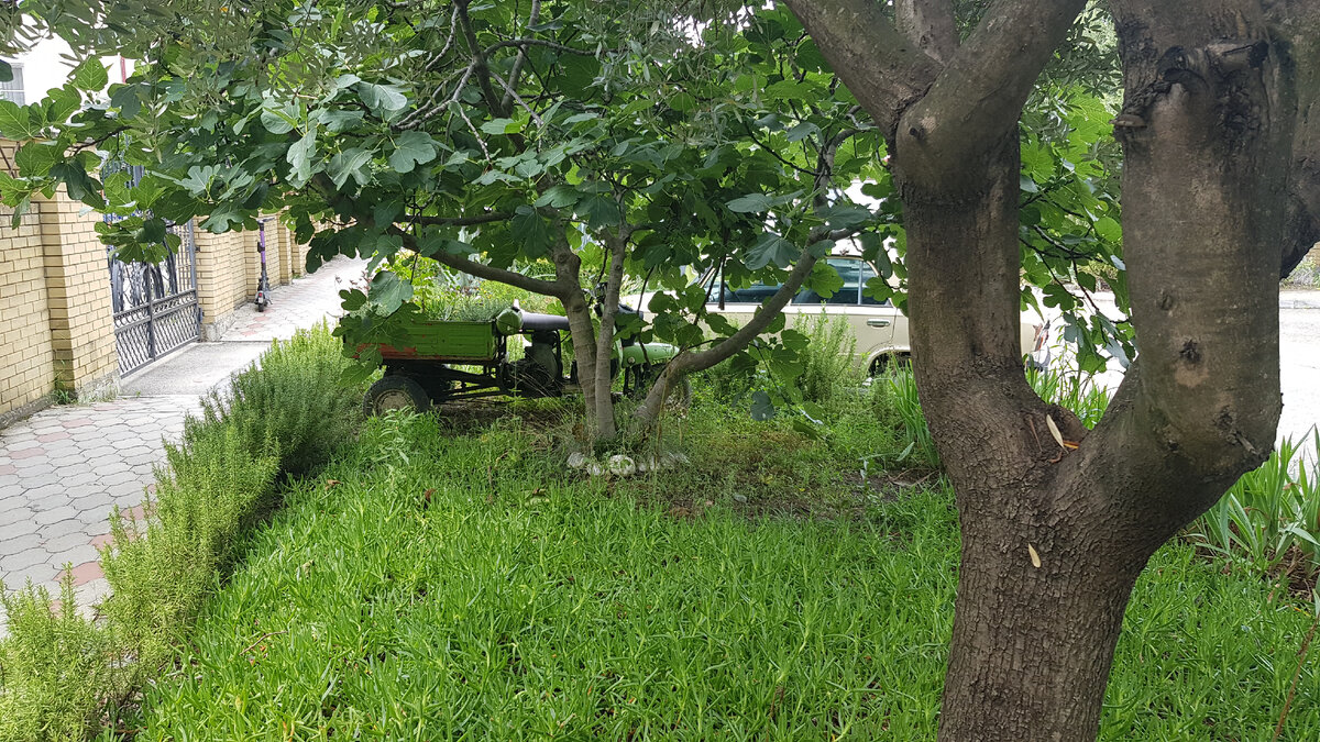 Такой любопытный арт объект я увидел на одной из улиц (клумба для цветов)😊