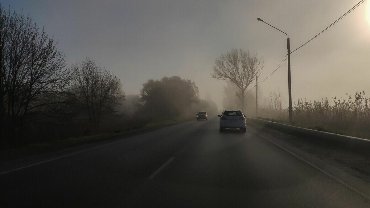     В Ростове-на-Дону в части проспекта Буденновский автомобилистам нельзя будет останавливаться, сообщили в мэрии.