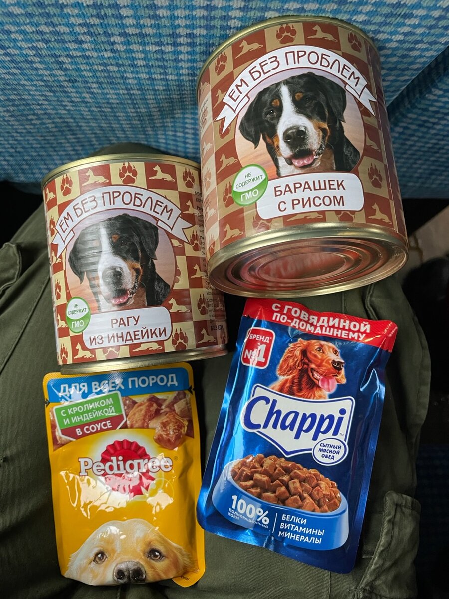 С пустыми руками в гости к собакам идти мы не осмелились :)