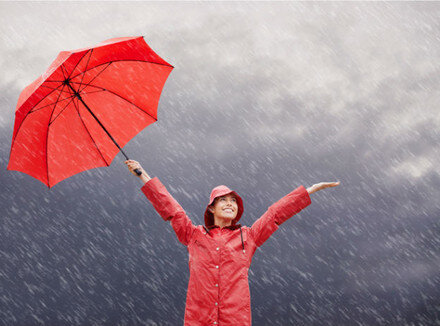 Из открытого источника 