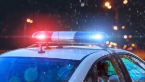    Фото: profile.ru Анжела Абраменко