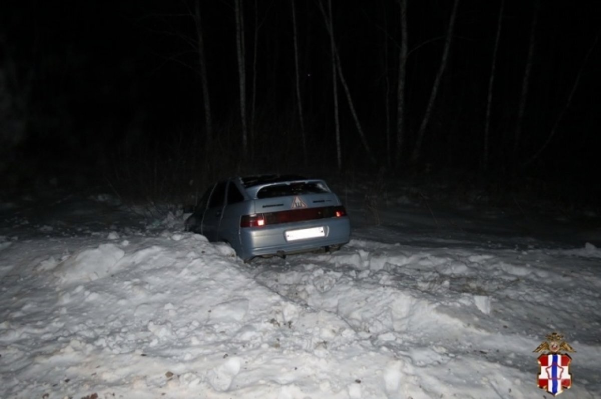    В омском селе двое угонщиков спрятались в лесу и едва не замёрзли насмерть