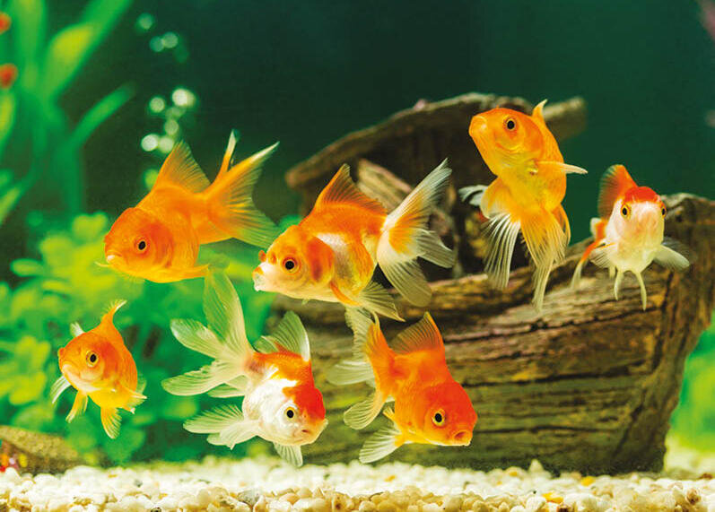 Фото: thecakeboutiquect.com 