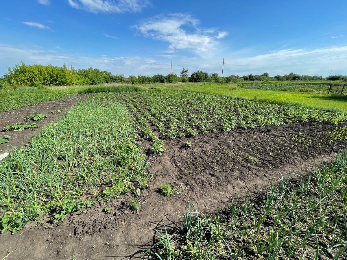В деревне живут бедно, жалуются на жизнь, но не стремятся к лучшему ...