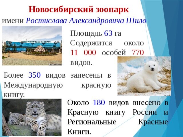 Яндекс. архив новосибирского зоопарка