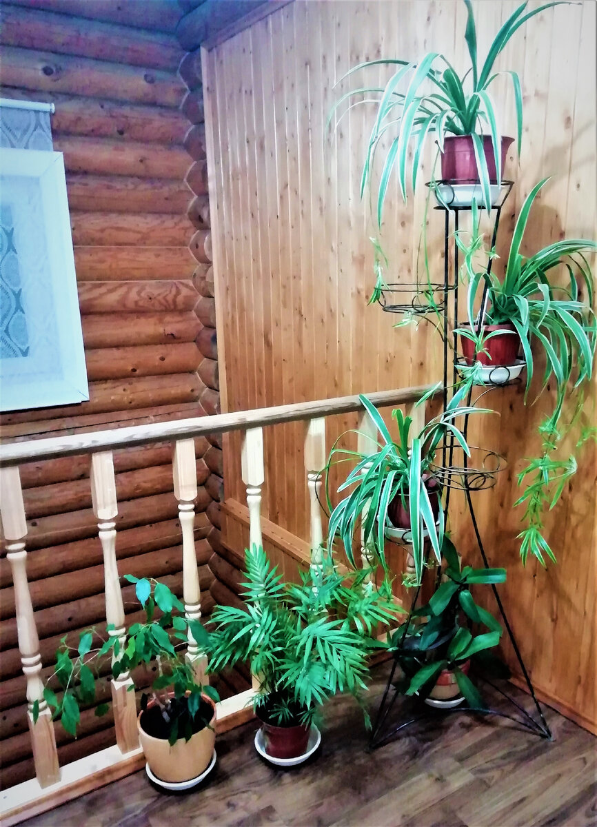 Пространство над лестницей