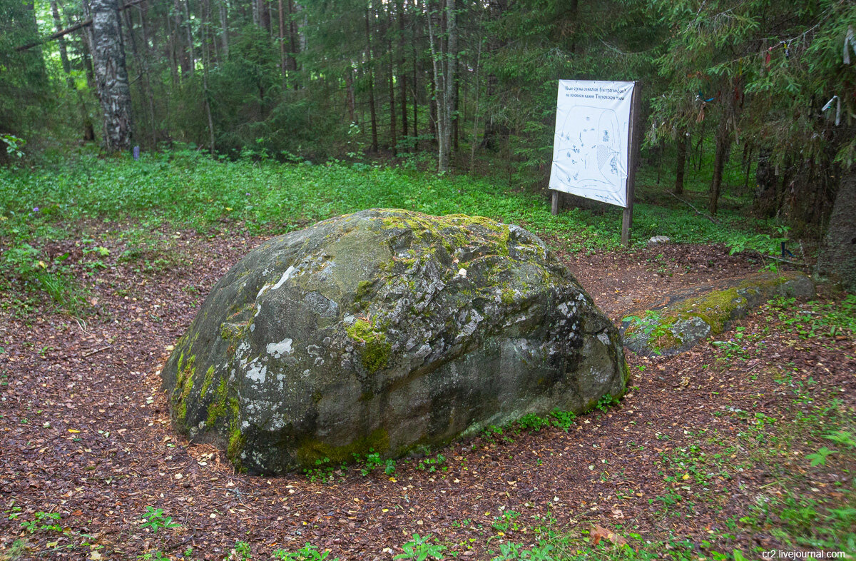Тиуновское языческое святилище. Вологодская область. Фото автора статьи 