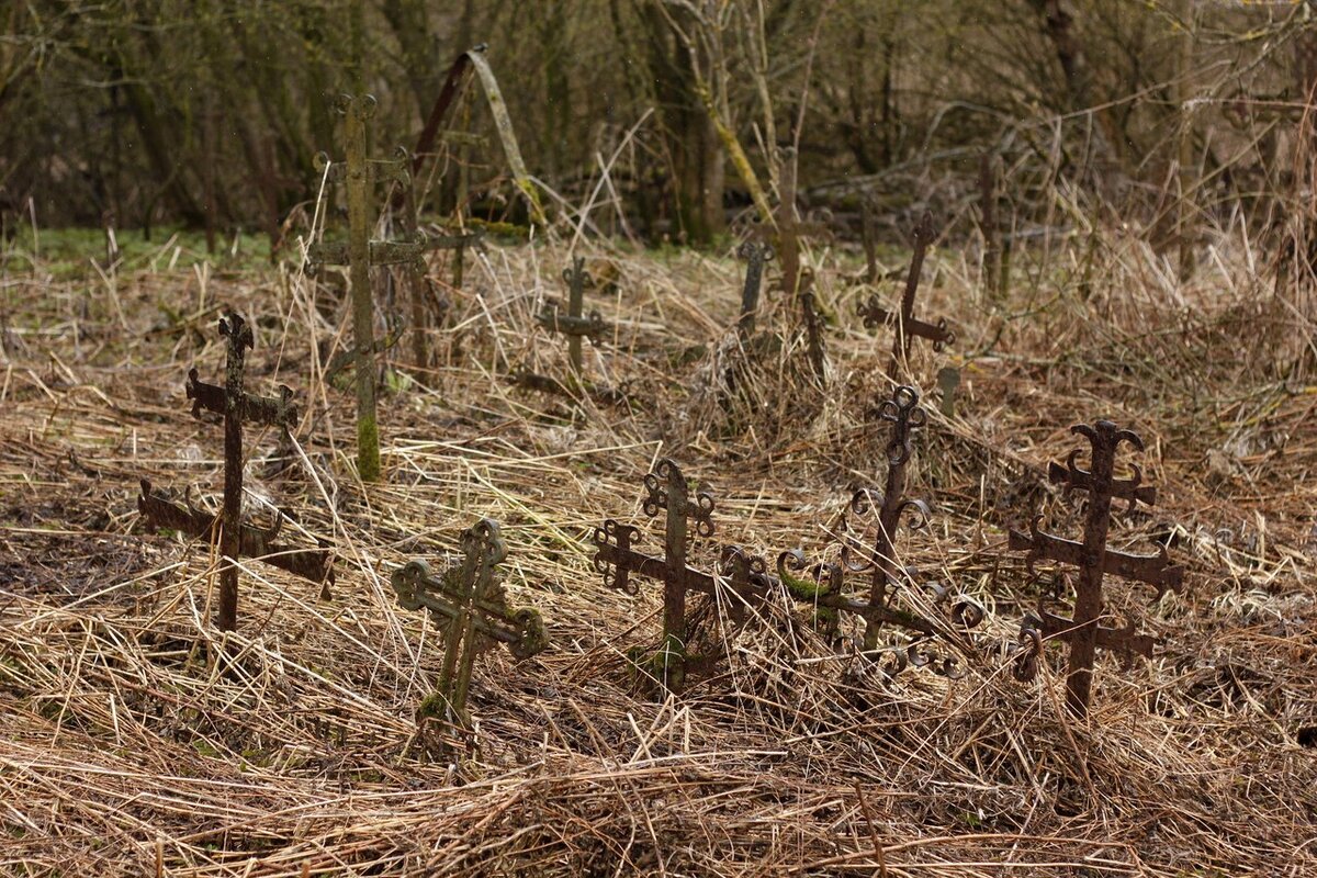 Заброшеные кладбища. Неухоженные кладбища. Неухоженная могила. Неухоженная могила. Заброшенные могилы.