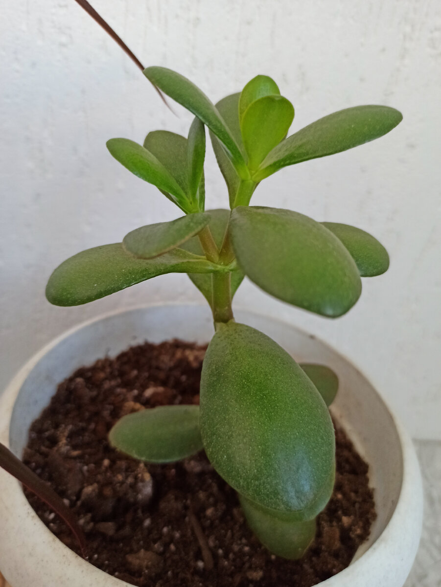 Малышка еще совсем