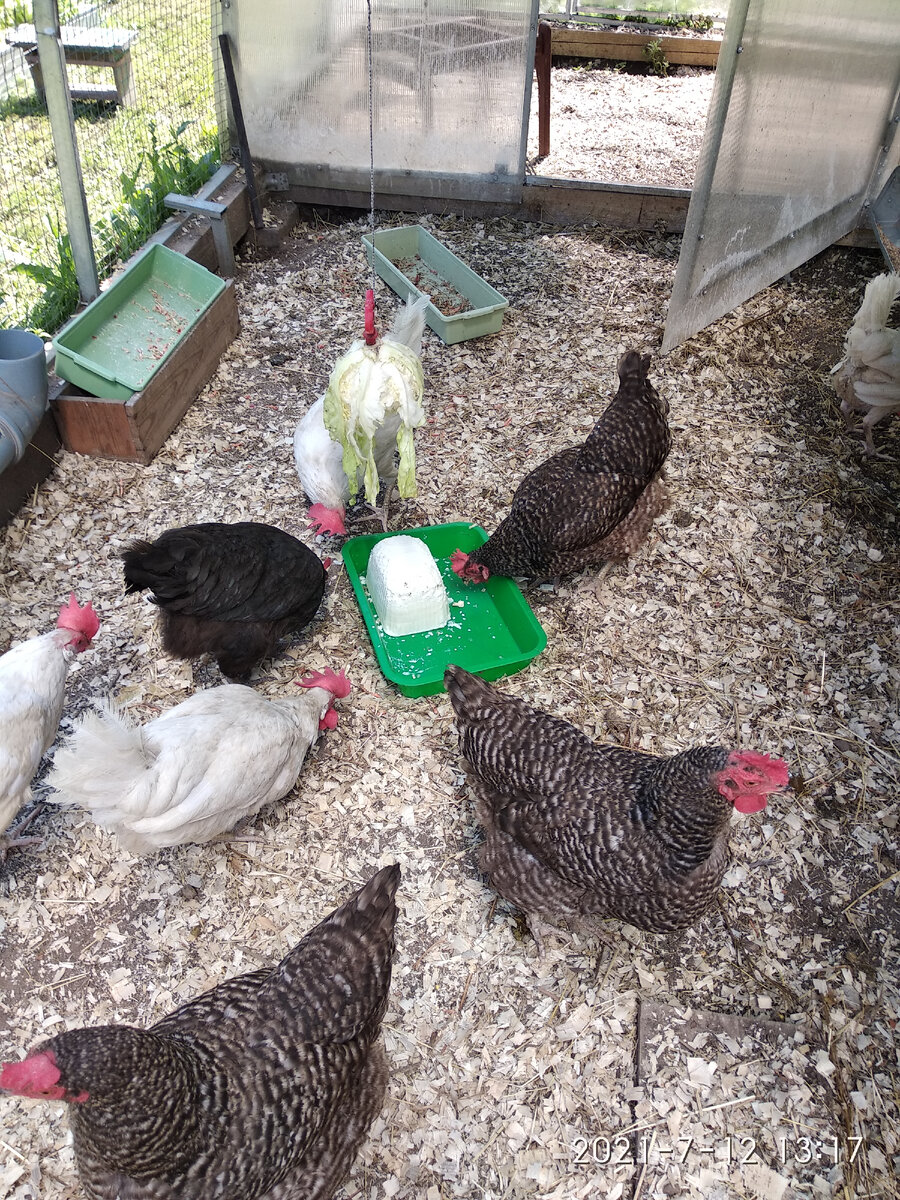 Кушаем мороженое из кефира.