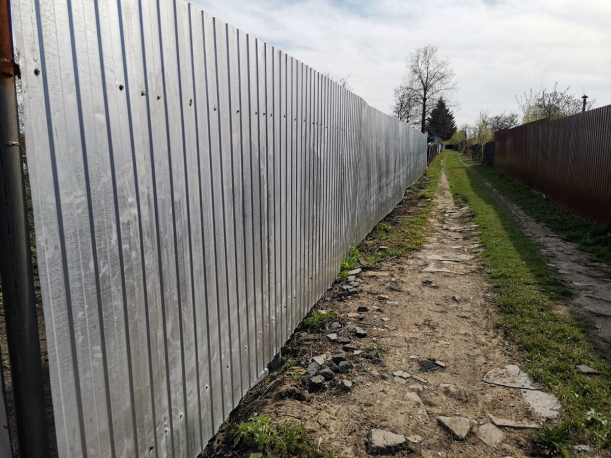 Фото: novosibirsk.n1.ru