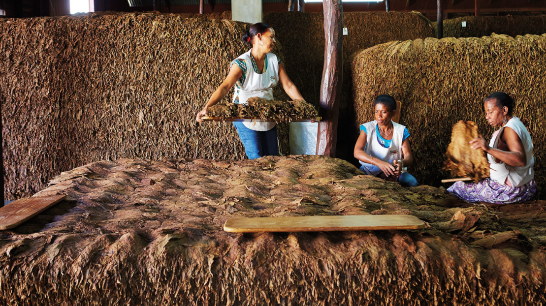 Фото из открытых источников.