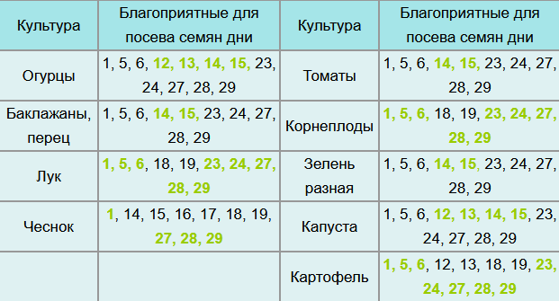 Лунный календарь садовода дачника август 2021 год. Посев овощей