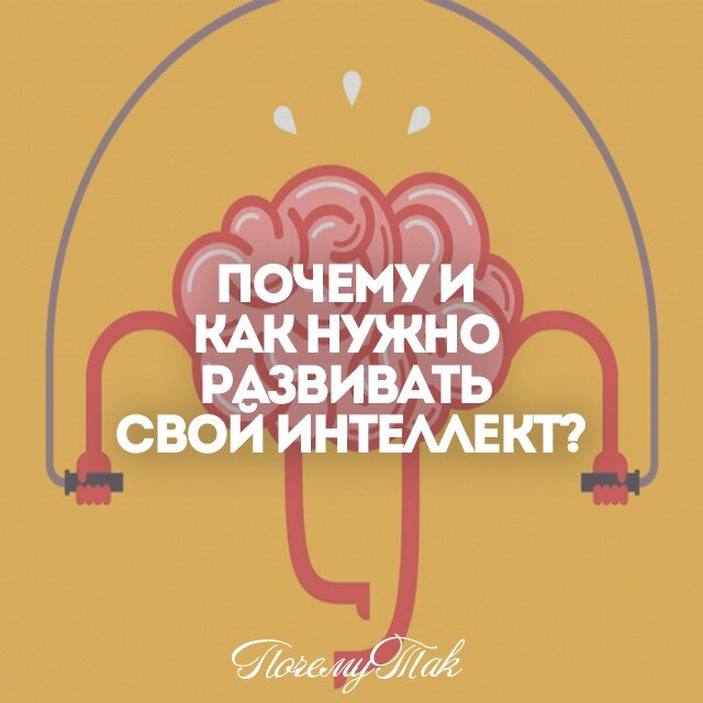 Умный человек всегда приятен в общении, легко достигает своих целей и добивается успеха. Любой хотел бы обладать высоким уровнем умственного коэффициента (IQ), но мозг не может развиваться сам по себе. Для этого требуется приложить массу усилий, а также потратить большое количество времени. 