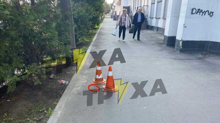 В Харькове посреди улицы выбросили эмбрион / телеграм "Труха"