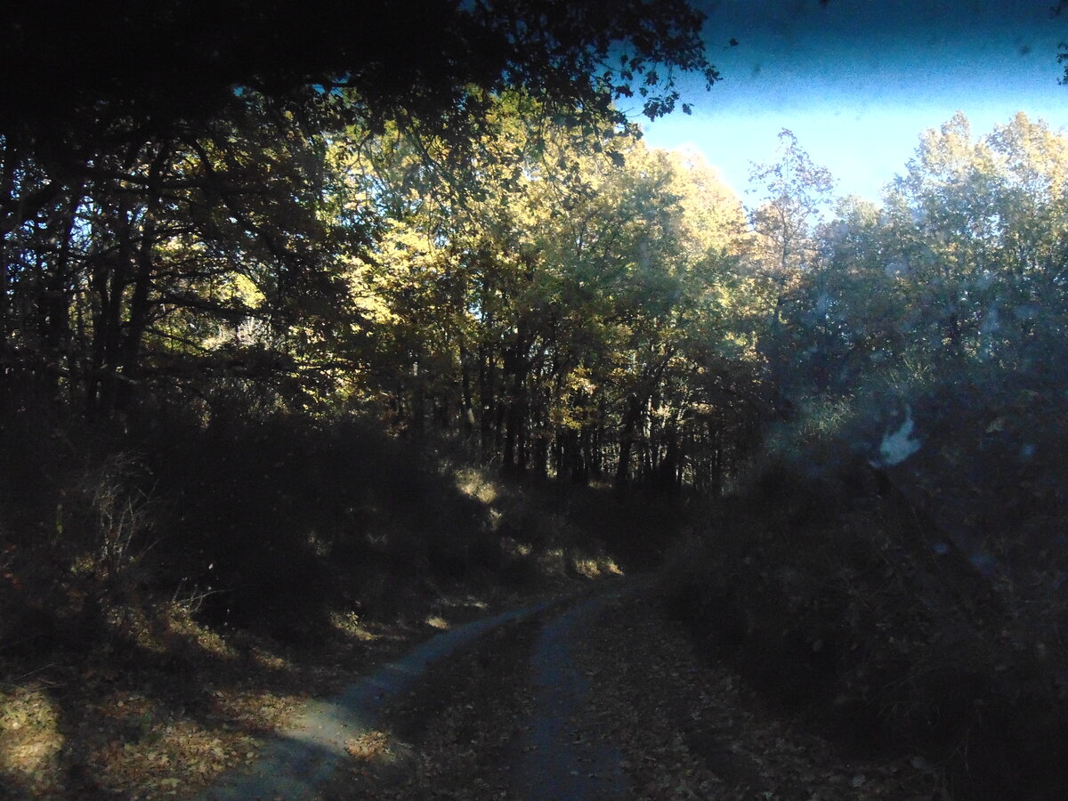 Фото автора канала