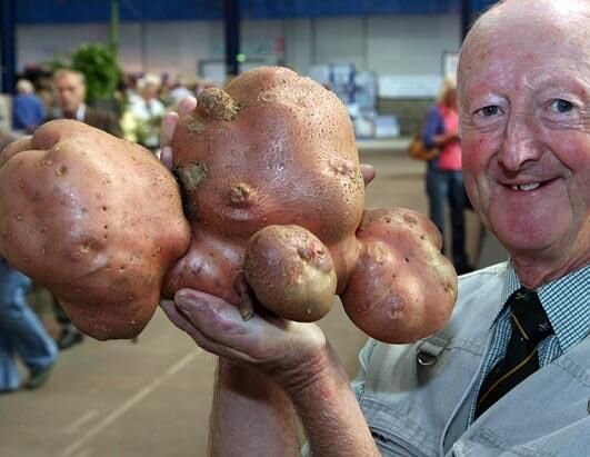 Источник фото: https://i.pinimg.com/564x/b7/0b/aa/b70baa9bee56efdbdd6794ef93f9203f--a-good-man-this-man.jpg