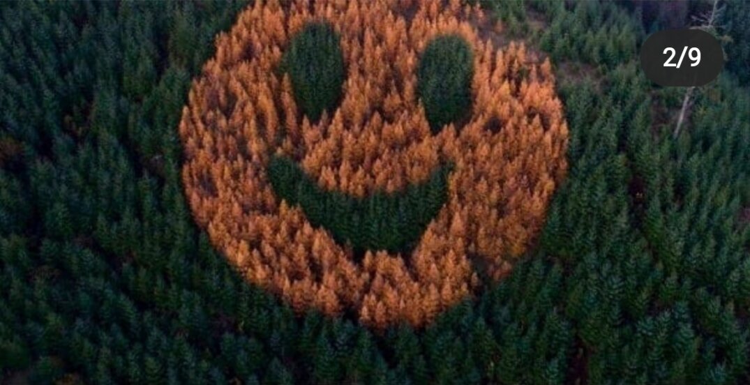 Дарите людям улыбки, по мере возможности.