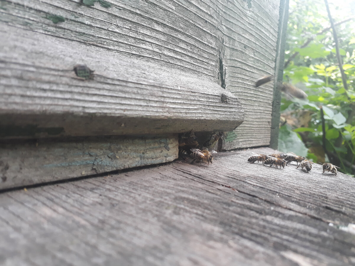 Фото из архива