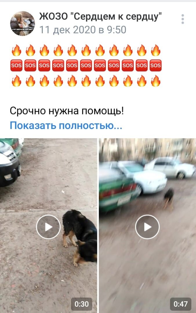 Почти год назад был первый пост помощи для старика