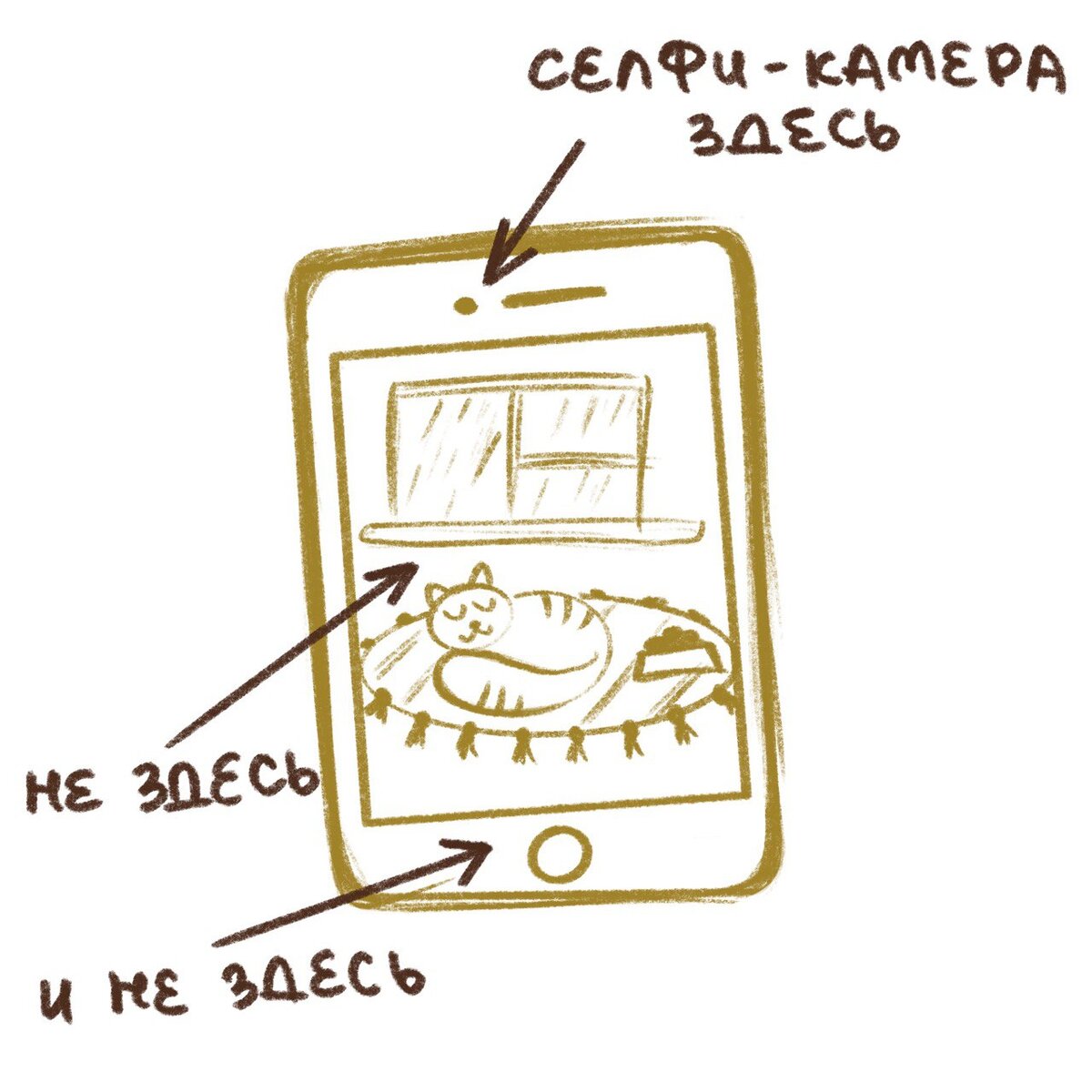 Зарисовка автора 