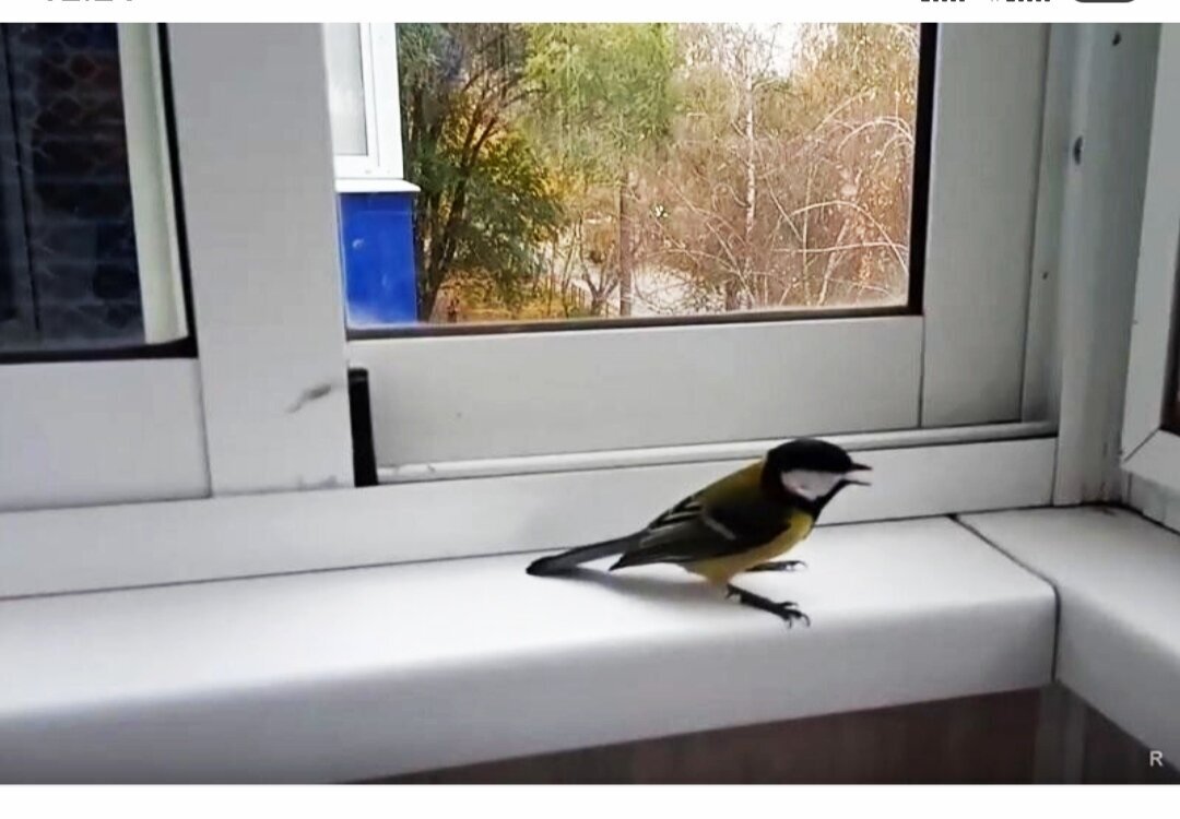 фото из открытого доступного источника сети интернет