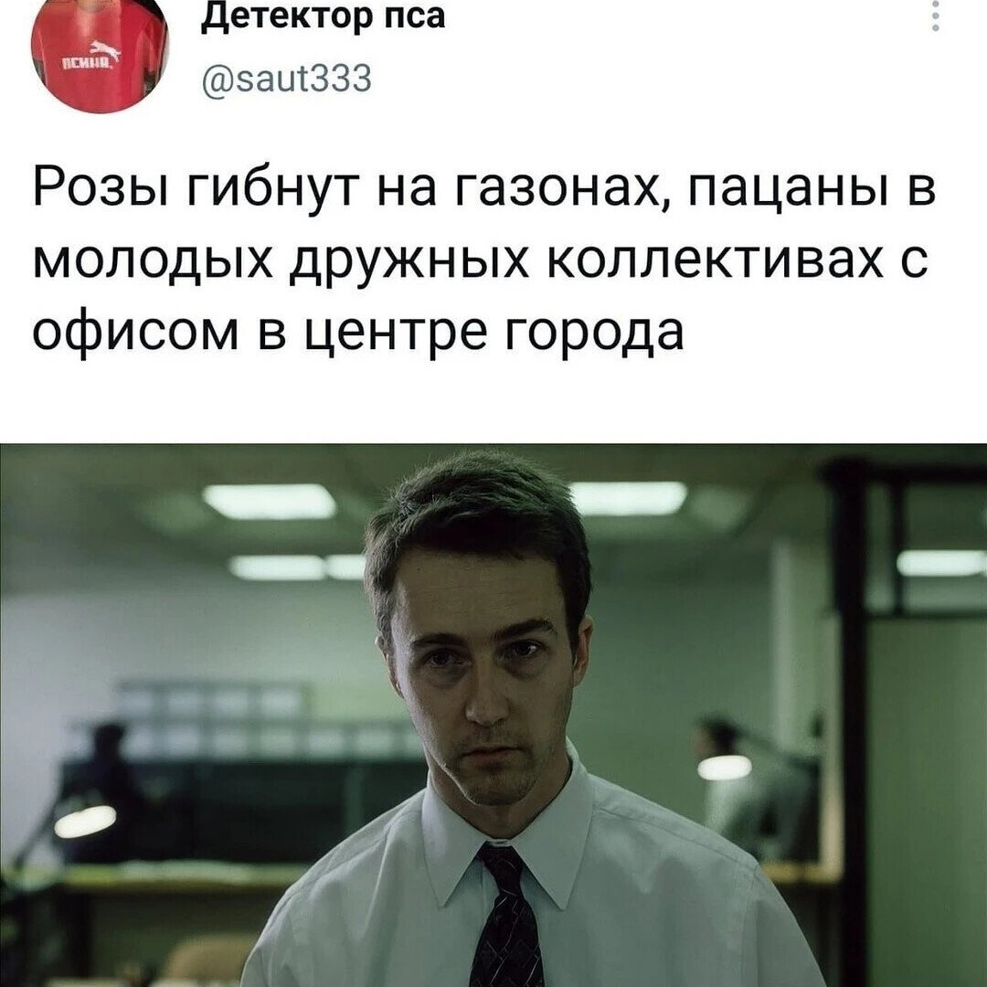 Розы гибнут на газонах