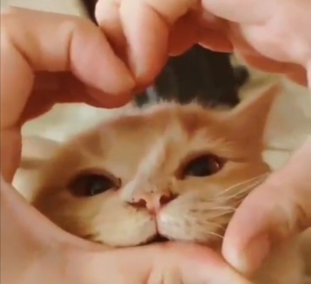 кусь)))