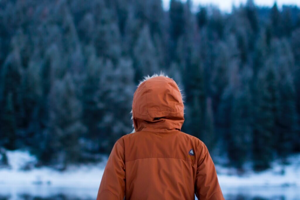 Фото: Daniel Bowman/Unsplash