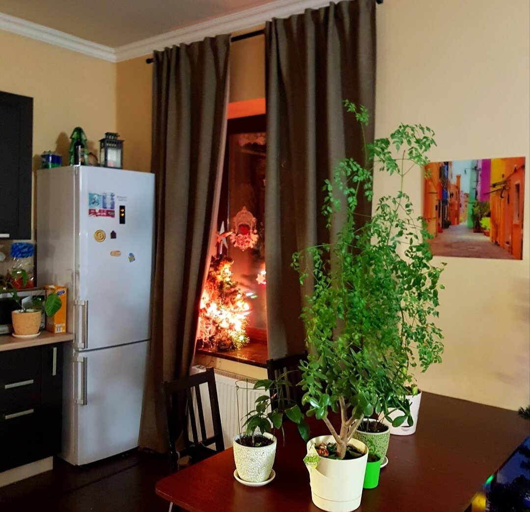 Дом и фото автора блога 