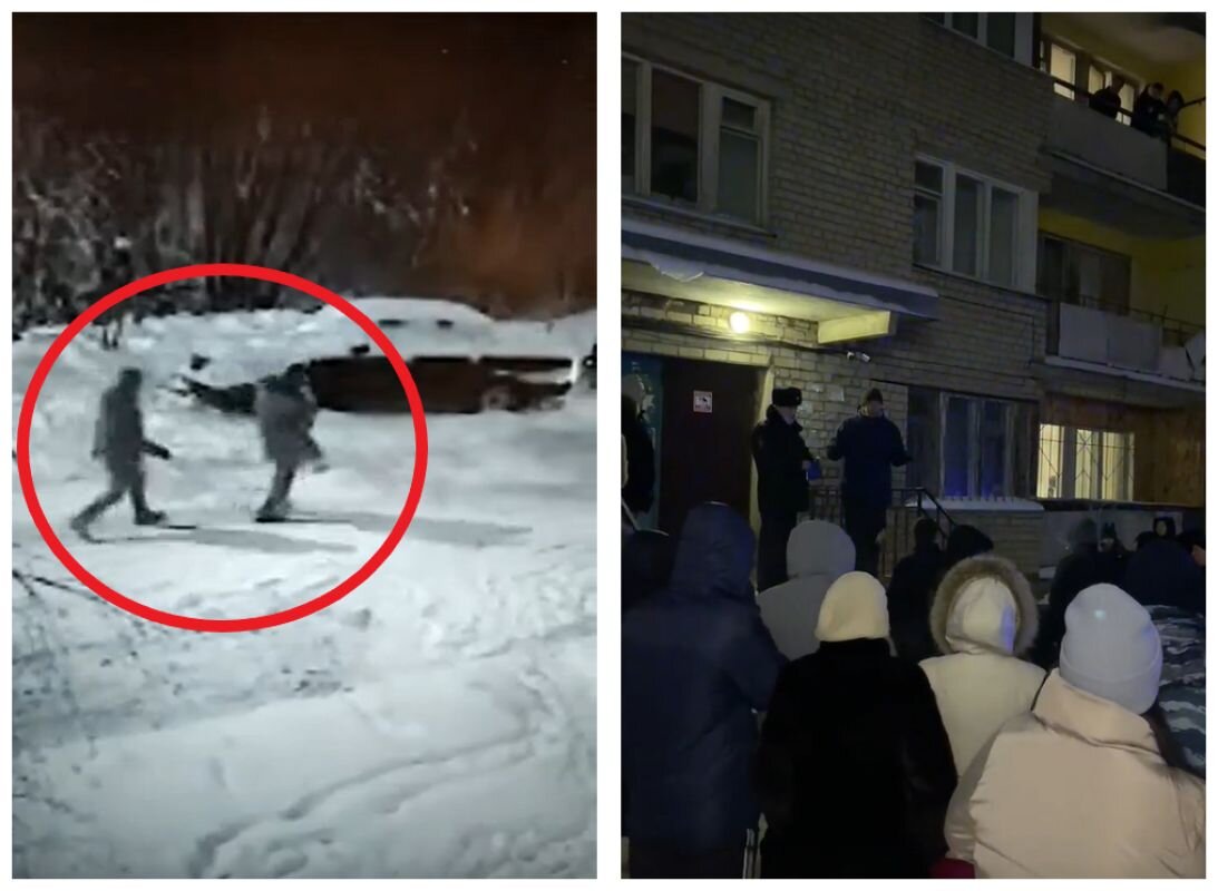 Фото: moe-online.ru