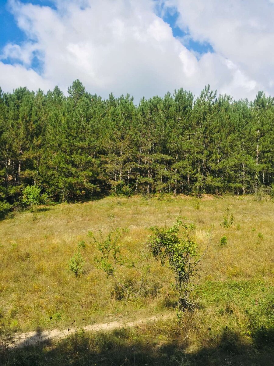 Фото из личного архива!