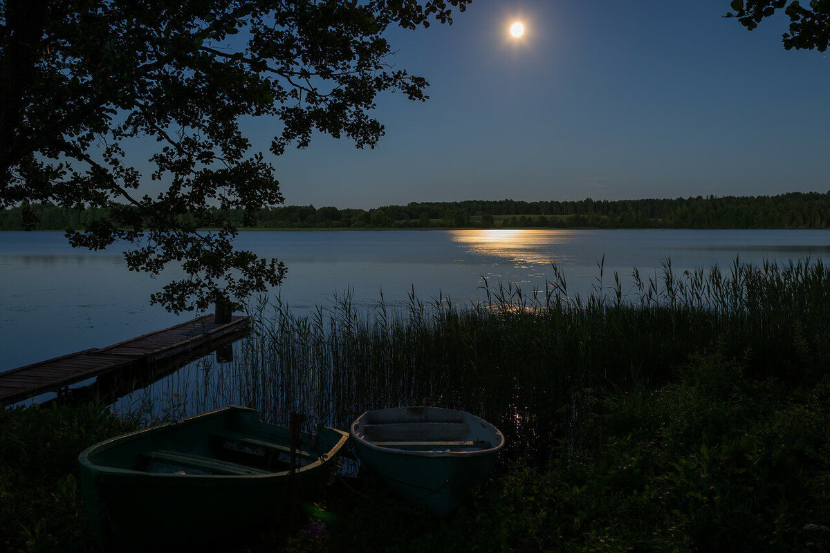 Лунная ночь на озере фото