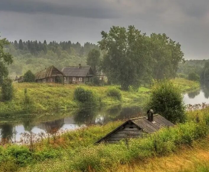 Яндекс. Картинки