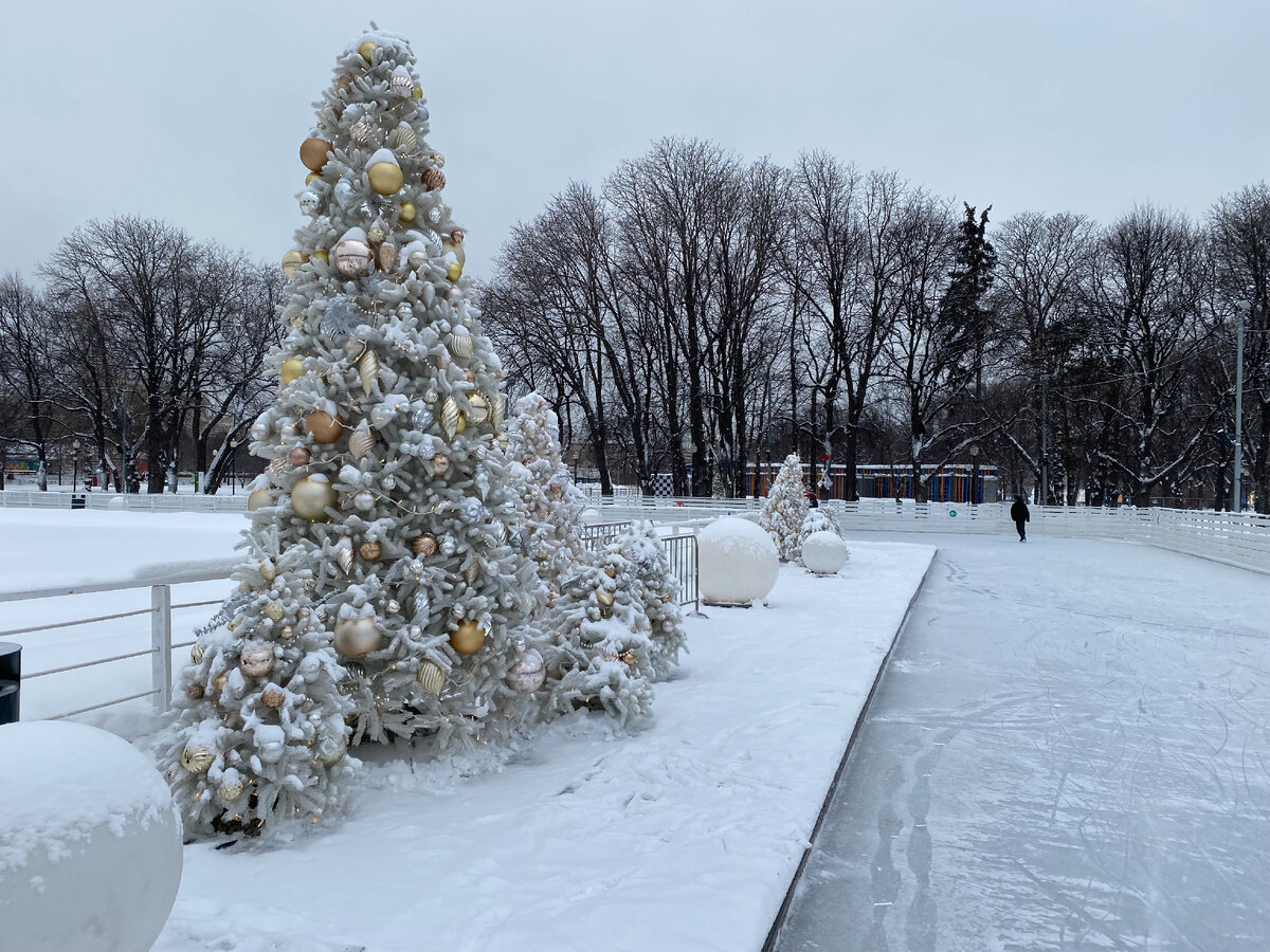 Каток в Парке Горького... Фото автора