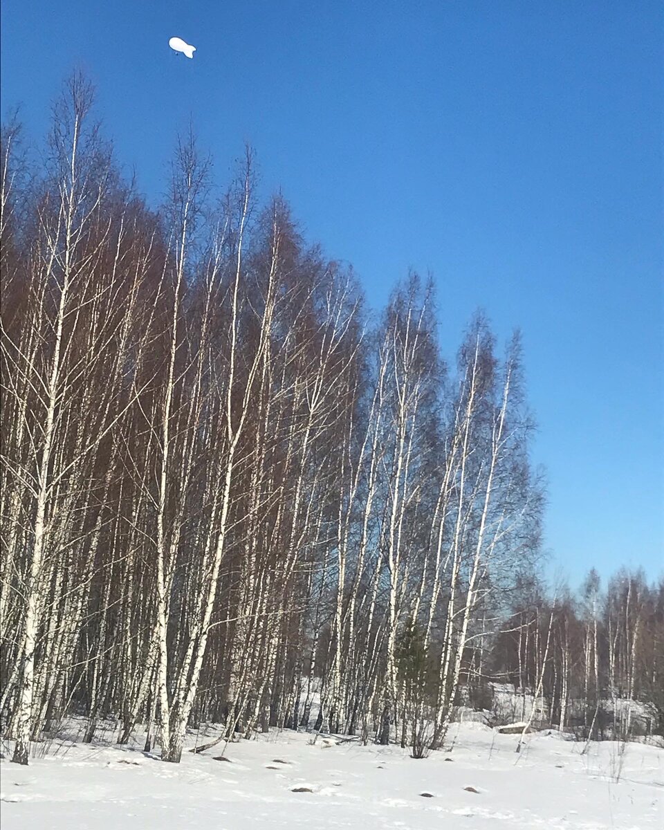 Синева неба и красота зимнего леса.