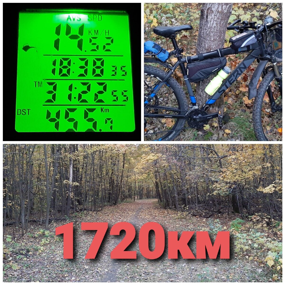 На данный момент был в этом лесу пробег в 1720км.