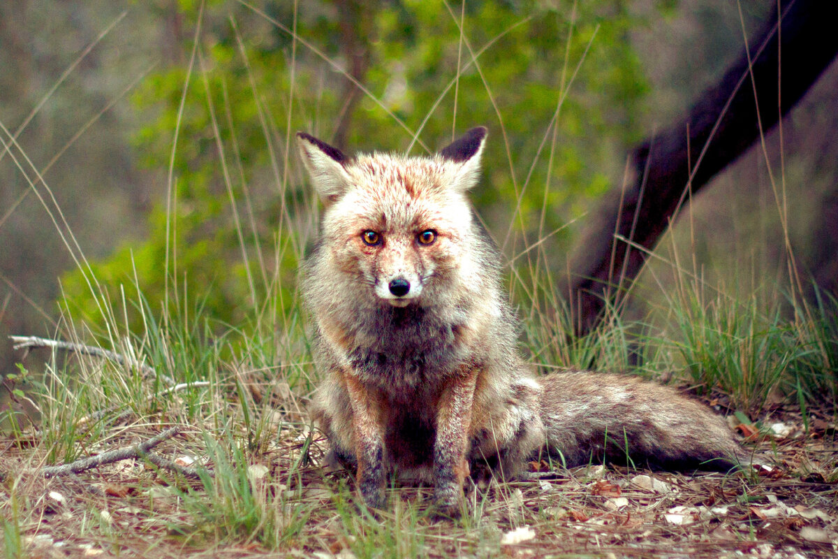 фото из общедоступных источников pxhere.com