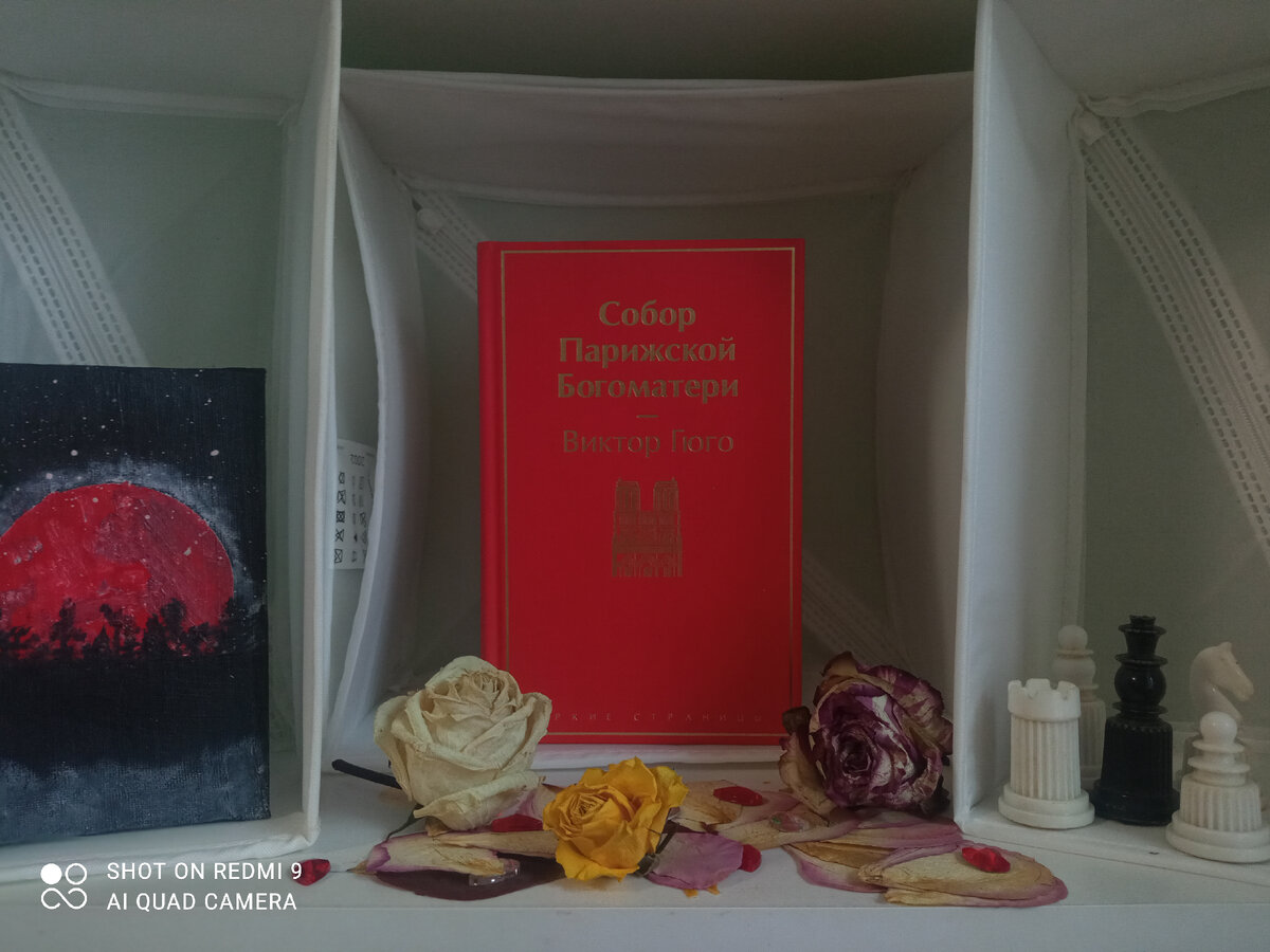 Привет с вами Чацкий ММ! Опять хочется классики! Поэтому сегодня почитаем печальную и до жути красивую историю Виктора Гюго <Собор Парижской Богоматери>
Нам представлена драматичная история четырёх герое :  горбуна звонаря Квазимодо, строгого архидиакона Клода Фролло, прекрасная цыганская  танцовщица Эсмеральда и капитан королевских стрелков Феба де Шатопер. 
Перед нами разворачивается картина любви, обмана, гонения цыган, разрушение личности и много других факторов. В этой истории присутствует современный взгляд на историю любви и мнение автора насчёт ситуации , в которой оказались герои. 
P. S. это очень серьёзное произведение с шикарной, но печальной развязкой, поэтому его стоит читать людям уже понимающим серьёзность ситуации. 