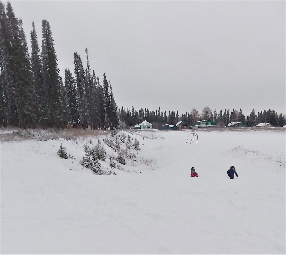 ждем весну. Фото автора канала.
