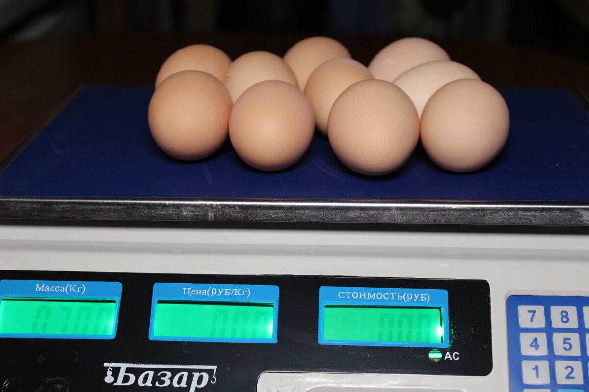                                               Обязательно взвешиваем