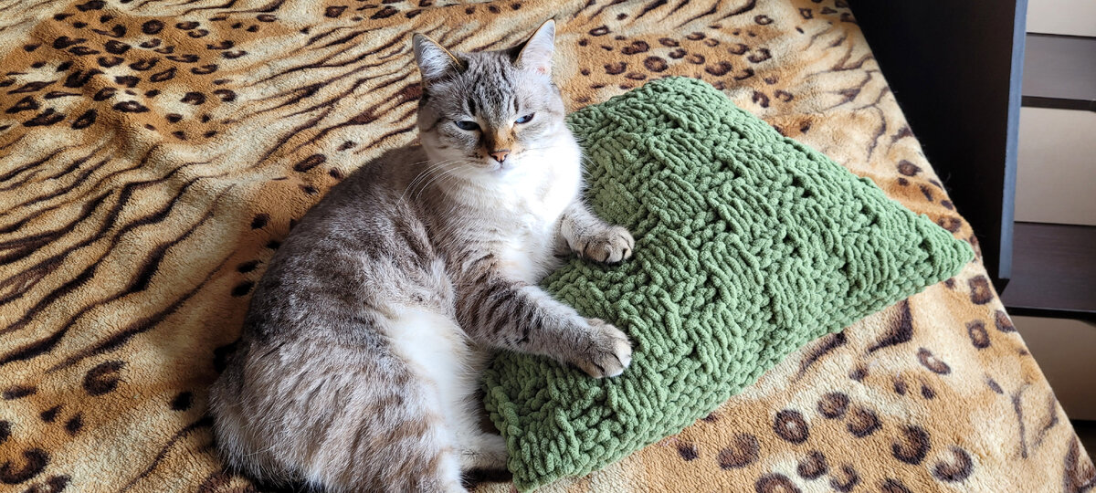 У меня есть подушка! А чего добился ты?!