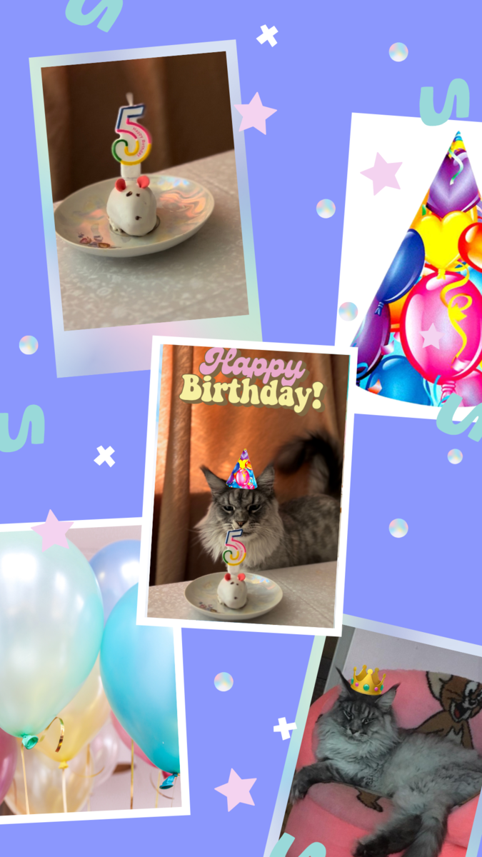 Вилли исполнилось 5 лет!