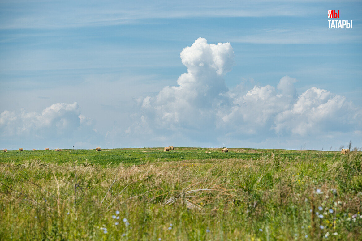 В степном Поволжье обитали выделившиеся из индоевропейского ядра индоиранцы / Фото: Владимир Васильев