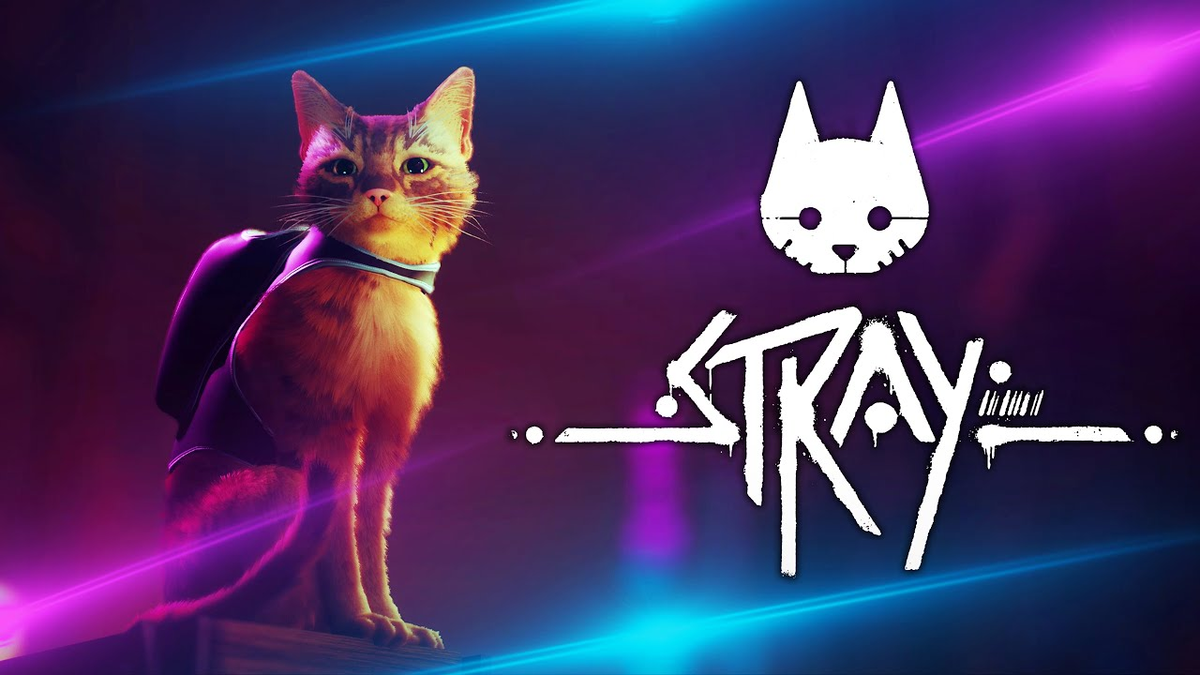 Кот gaming. Стрэй игра. Stray игра ps5. Stray игра 2021. СТРЕЙ игра 2022.