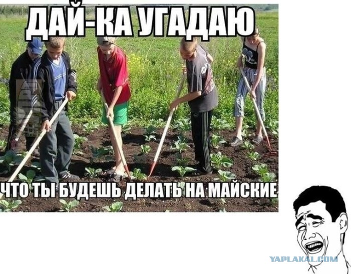 Ну а что, отдыхать что ли...