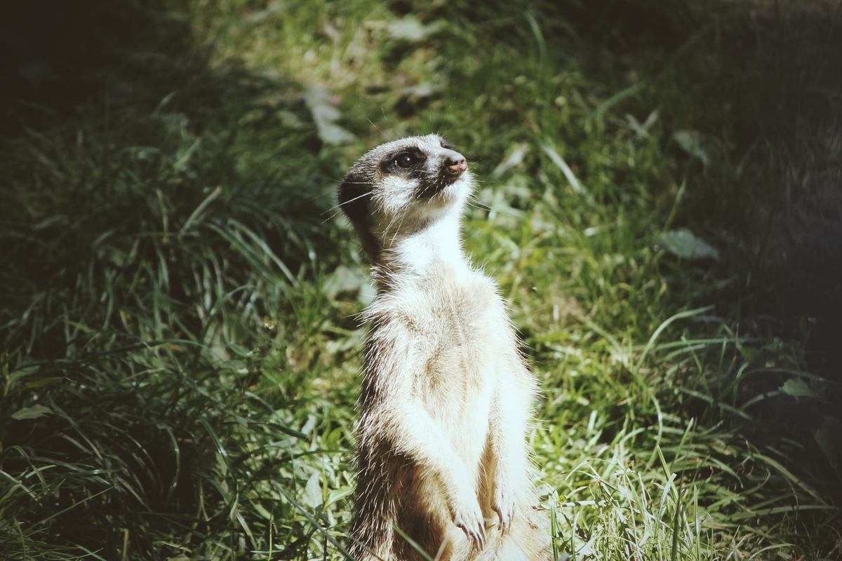 Фото: Erik-Jan Leusink / Unsplash